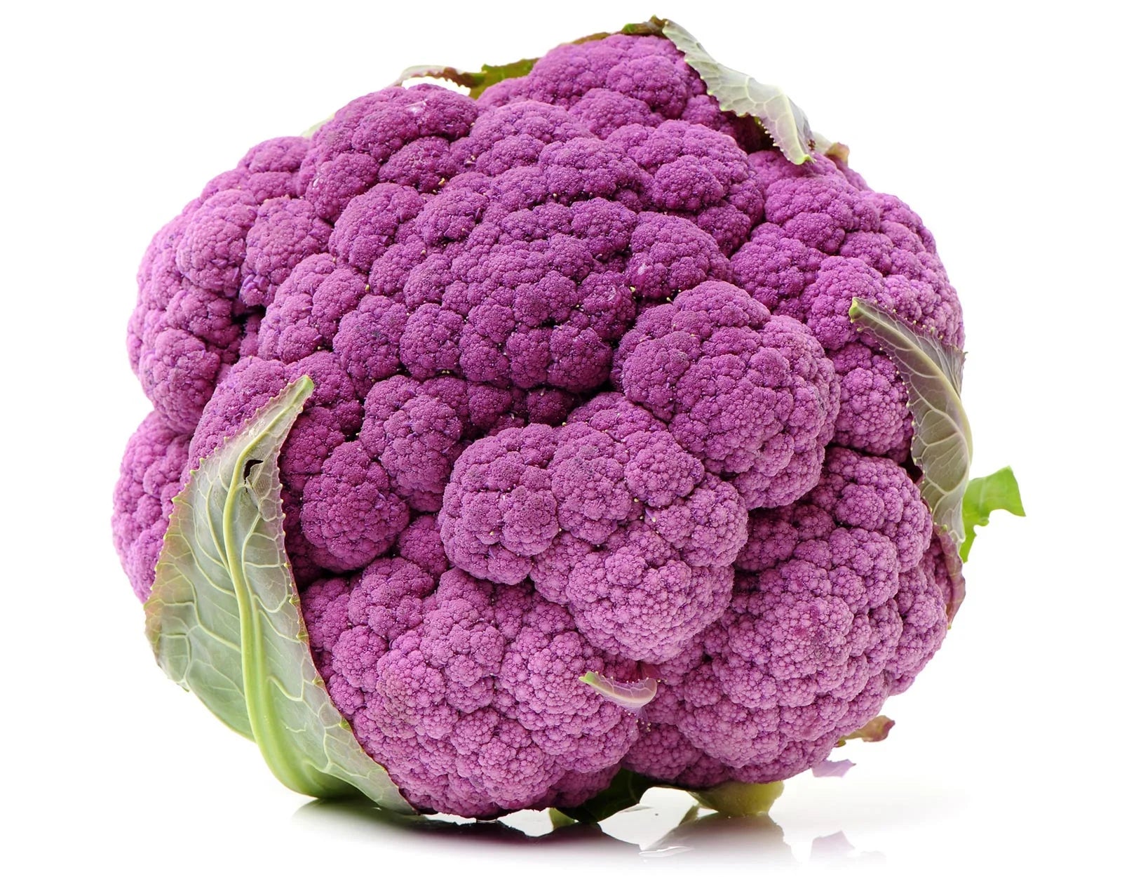 Cauliflower Purple Colour Netherlands 🇳🇱